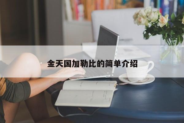 金天国加勒比的简单介绍
