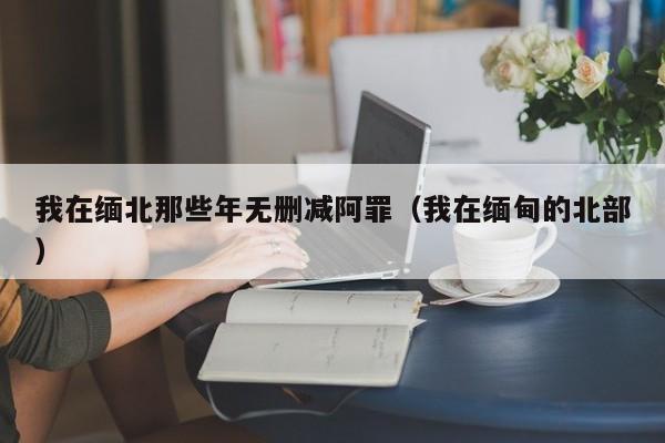 我在缅北那些年无删减阿罪（我在缅甸的北部）