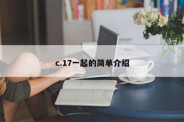 c.17一起的简单介绍